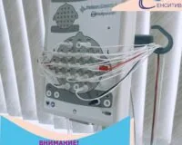 Электроэнцефалография (ЭЭГ) мозга